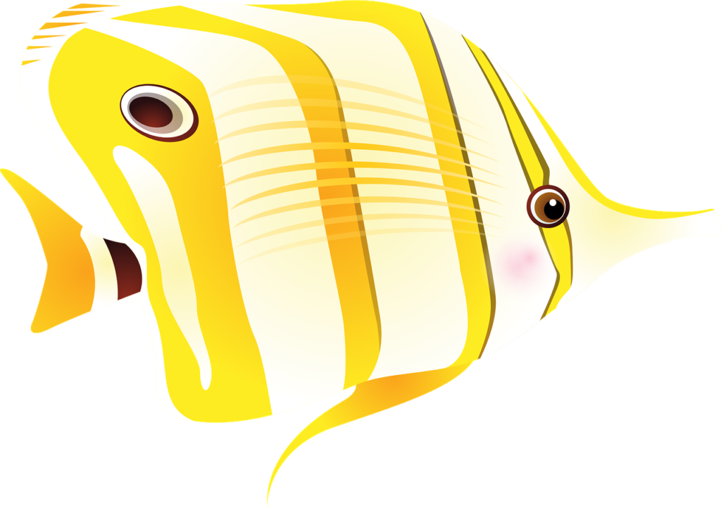 butterfly fish, nature, fish-1331812.jpg